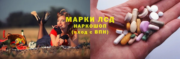 spice Липки