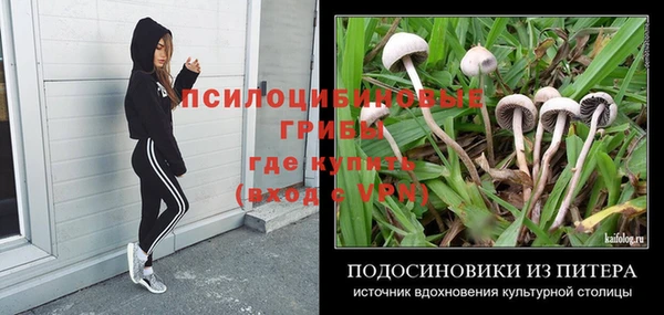 spice Липки