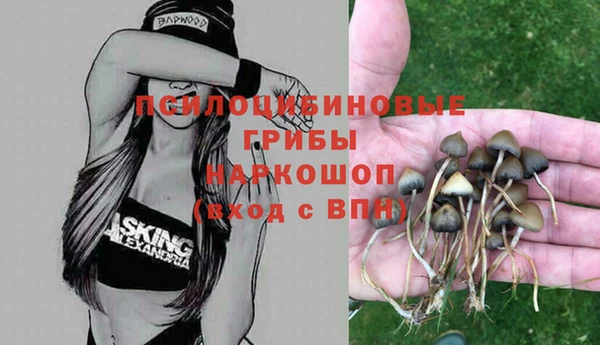 таблы Лиски