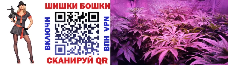 Купить где  Пошехонье  Каннабис семена 